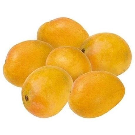 Fresh Kesar Mangoes