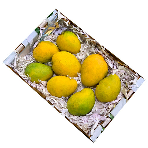 Indian Badami Mangoes Fresh