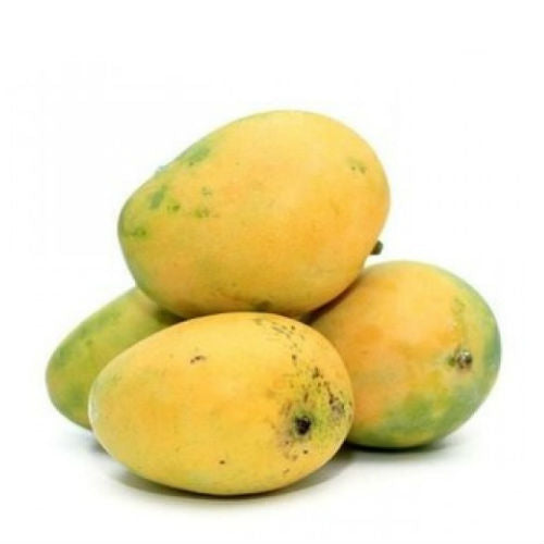 Banginapalli Mangoes Large Box