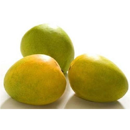 Indian Mango Shop UK Buy Indian Mangoes Online Kichri Store