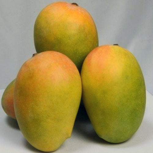 Fresh Jumbo Kesar Mango